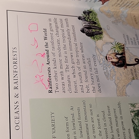 Set of Discovery Plus Children's Books - Picture 15 of 16